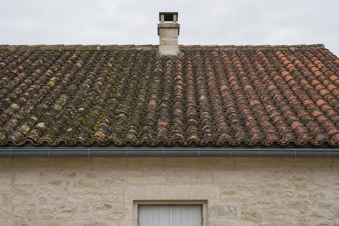 Toiture en tuiles avant nettoyage, avec mousses et traces sombres