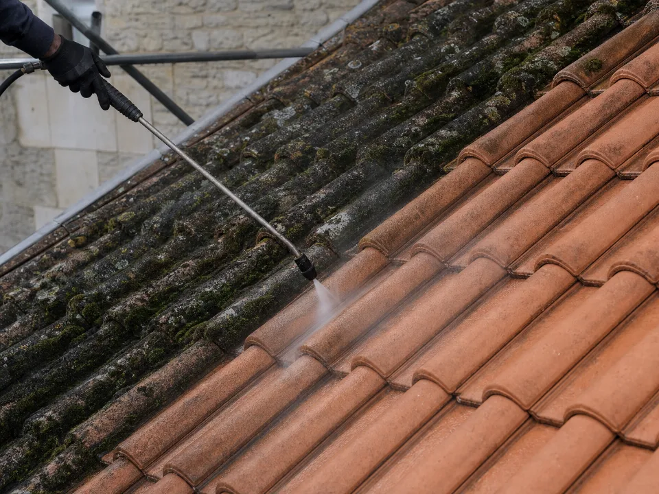 Nettoyage progressif de tuiles couvertes de mousse