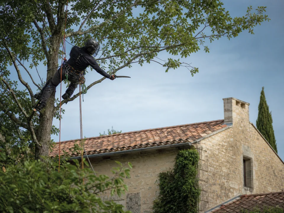 Professionnel équipé pour élaguer un arbre à proximité d’une toiture